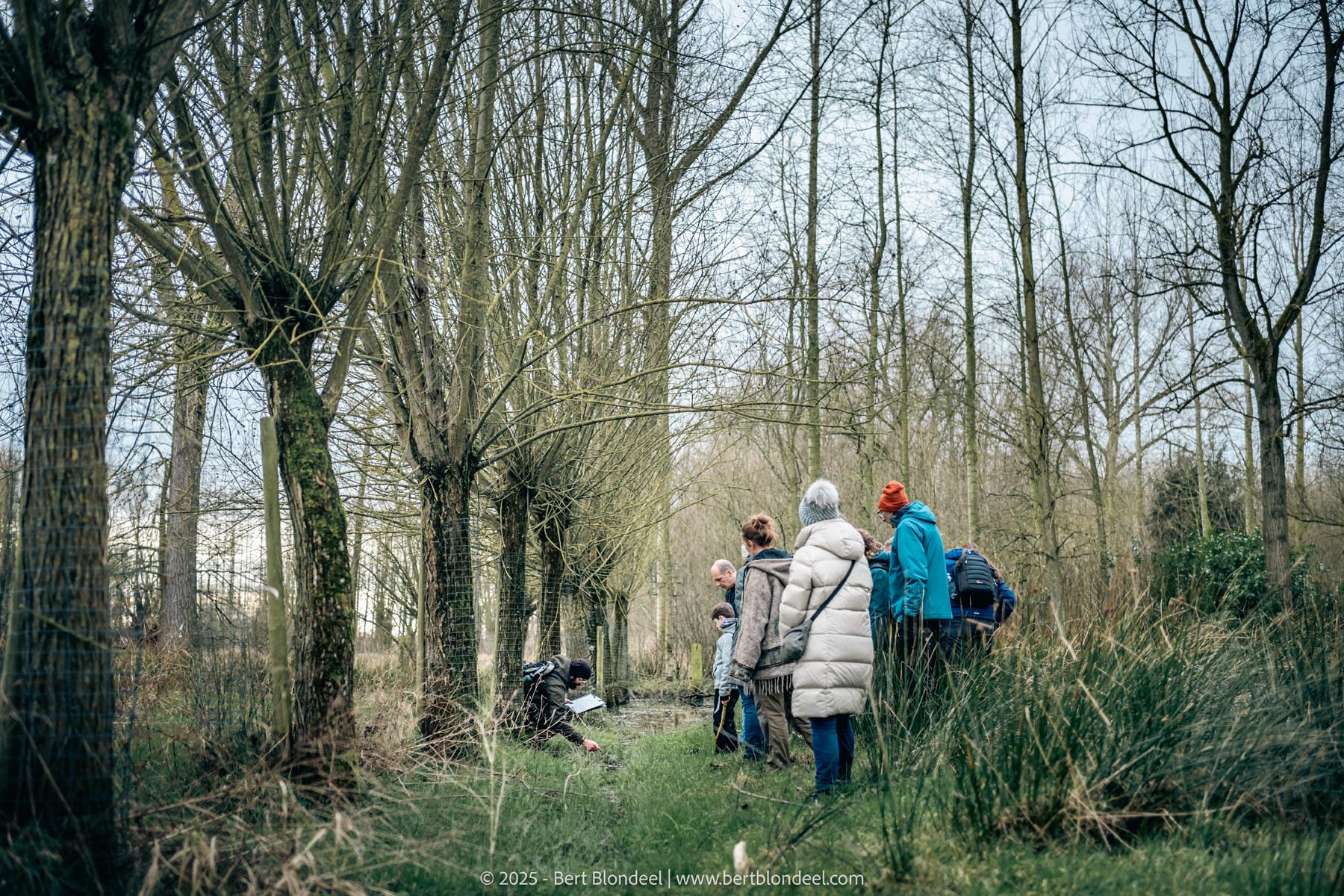 Reportage: Natuurpunt Dendermonding - Winterwandeling 2025 / © Bert Blondeel