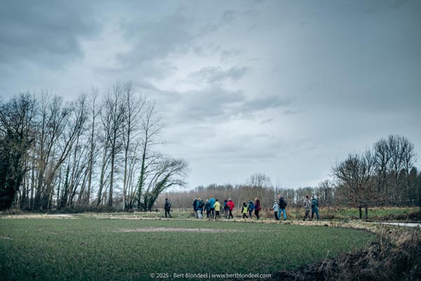 Reportage: Natuurpunt Dendermonding - Winterwandeling 2025 / © Bert Blondeel